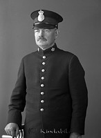 Filnamn=Falk - 3572b.jpg
Filstorlek=18KiB
Dimensioner=330x450
Uppladdade datum=Sep 30, 2013 Falk - 3572b.jpg