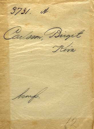 Birgit Carlsson Kisa
Nyckelord: Carlsson Kisa