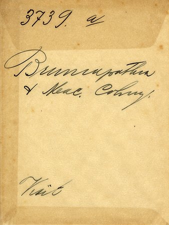 Falk - 3739a - bak.jpg