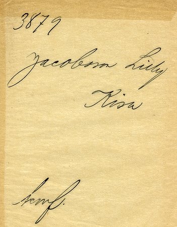 Falk - 3879b - bak.jpg