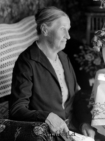 Fru Åberg Kisa
raja
Kvinna omgiven av blommor påå sin 60-årsdag

Nyckelord: Åberg Kisa