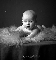 Filnamn=Falk - 4153l - Hasselblad.jpg
Filstorlek=34KiB
Dimensioner=424x450
Uppladdade datum=Jan 08, 2014 Falk - 4153l - Hasselblad.jpg