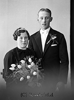 Falk - 4170-00a.jpg