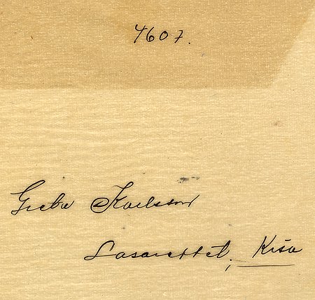 Falk - 4607bz - bak.jpg