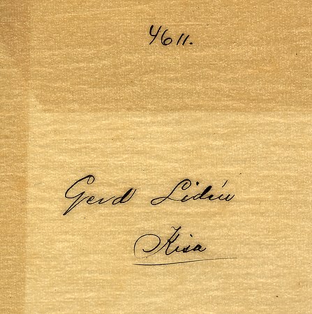 Gerd Lidén Kisa
Nyckelord: Lidén Kisa