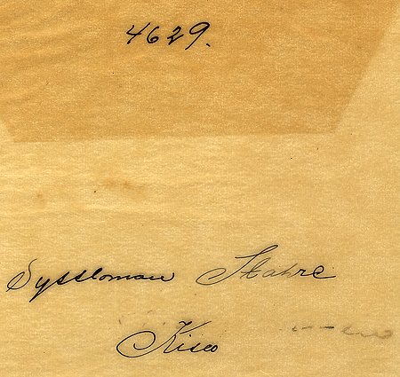 Syssloman Stahre Kisa
Nyckelord: Stahre Kisa