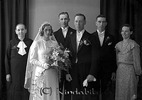 Filnamn=Falk - 4889a.jpg
Filstorlek=35KiB
Dimensioner=450x319
Uppladdade datum=Jan 08, 2014 Falk - 4889a.jpg