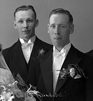 Filnamn=Falk - 4889az - HDx02.jpg
Filstorlek=37KiB
Dimensioner=416x450
Uppladdade datum=Jan 08, 2014 Falk - 4889az - HDx02.jpg