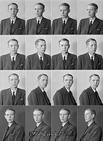 Filnamn=Falk - 4977.jpg
Filstorlek=44KiB
Dimensioner=331x450
Uppladdade datum=Jan 08, 2014 Falk - 4977.jpg