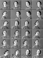 Filnamn=Falk - 4995.jpg
Filstorlek=54KiB
Dimensioner=331x450
Uppladdade datum=Jan 08, 2014 Falk - 4995.jpg