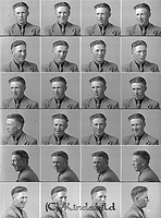 Filnamn=Falk - 5187.jpg
Filstorlek=47KiB
Dimensioner=332x450
Uppladdade datum=Jan 08, 2014 Falk - 5187.jpg