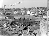 Filnamn=Falk - 5576b.jpg
Filstorlek=64KiB
Dimensioner=450x332
Uppladdade datum=Jan 08, 2014 Falk - 5576b.jpg