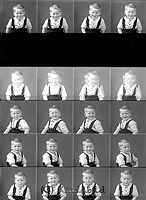 Filnamn=Falk - 5584.jpg
Filstorlek=39KiB
Dimensioner=329x450
Uppladdade datum=Jan 08, 2014 Falk - 5584.jpg