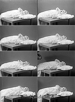 Filnamn=Falk - 5702.jpg
Filstorlek=37KiB
Dimensioner=330x450
Uppladdade datum=Jan 08, 2014 Falk - 5702.jpg