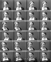 Filnamn=Falk - 5720.jpg
Filstorlek=51KiB
Dimensioner=373x450
Uppladdade datum=Jan 08, 2014 Falk - 5720.jpg