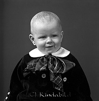 Filnamn=Falk - 5839z.jpg
Filstorlek=32KiB
Dimensioner=439x450
Uppladdade datum=Jan 08, 2014 Falk - 5839z.jpg