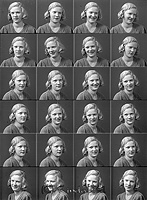 Filnamn=Falk - 5848.jpg
Filstorlek=49KiB
Dimensioner=330x450
Uppladdade datum=Jan 08, 2014 Falk - 5848.jpg