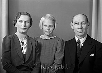 Filnamn=Falk - 5875b.jpg
Filstorlek=28KiB
Dimensioner=450x322
Uppladdade datum=Jan 08, 2014 Falk - 5875b.jpg