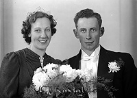 Filnamn=Falk - 5906d.jpg
Filstorlek=35KiB
Dimensioner=450x321
Uppladdade datum=Jan 08, 2014 Falk - 5906d.jpg