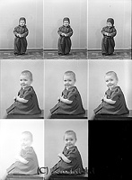 Filnamn=Falk - 5928.jpg
Filstorlek=30KiB
Dimensioner=330x450
Uppladdade datum=Jan 08, 2014 Falk - 5928.jpg