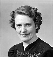 Filnamn=Falk - 5937z.jpg
Filstorlek=36KiB
Dimensioner=419x450
Uppladdade datum=Jan 08, 2014 Falk - 5937z.jpg