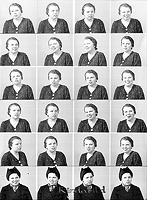 Filnamn=Falk - 6073.jpg
Filstorlek=55KiB
Dimensioner=330x450
Uppladdade datum=Jan 08, 2014 Falk - 6073.jpg