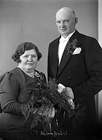 Filnamn=Falk - 6131c.jpg
Filstorlek=32KiB
Dimensioner=326x450
Uppladdade datum=Jan 08, 2014 Falk - 6131c.jpg
