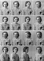 Filnamn=Falk - 6238.jpg
Filstorlek=56KiB
Dimensioner=329x450
Uppladdade datum=Jan 08, 2014 Falk - 6238.jpg