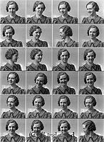 Filnamn=Falk - 6340.jpg
Filstorlek=63KiB
Dimensioner=329x450
Uppladdade datum=Jan 08, 2014 Falk - 6340.jpg