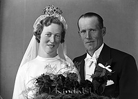 Filnamn=Falk - 6451a.jpg
Filstorlek=35KiB
Dimensioner=450x324
Uppladdade datum=Jan 08, 2014 Falk - 6451a.jpg