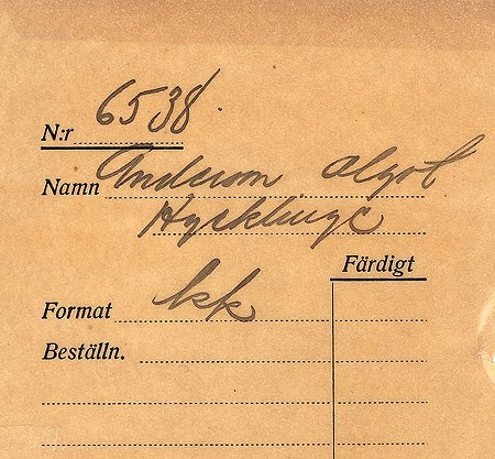 Algot Andersson Hycklinge
Nyckelord: Andersson Hycklinge