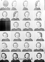 Filnamn=Falk - 6921.jpg
Filstorlek=41KiB
Dimensioner=328x450
Uppladdade datum=Jan 08, 2014 Falk - 6921.jpg
