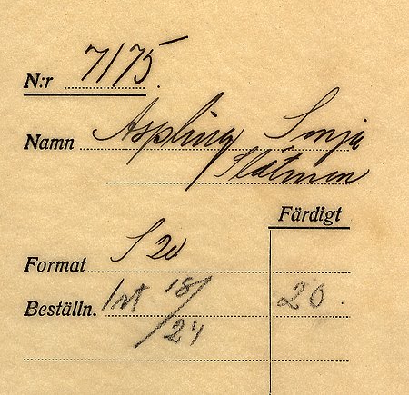 Falk - 7175z - bak.jpg