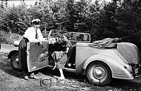 Falk - Rp0031 - ej nr - ej lapp.jpg