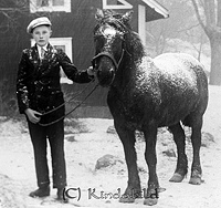 Filnamn=Falk - Rp0035z - ej nr - ej lapp.jpg
Filstorlek=50KiB
Dimensioner=450x424
Uppladdade datum=Jan 09, 2014 Falk - Rp0035z - ej nr - ej lapp.jpg