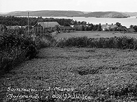 Falk - aa0162z - ej nr - ej lapp.jpg