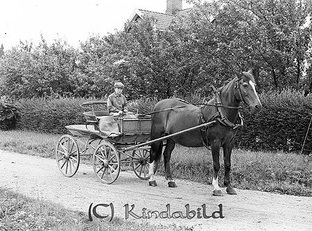 Falk - aa0107 - ej nr - ej lapp.jpg